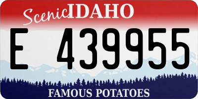 ID license plate E439955