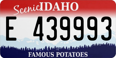 ID license plate E439993