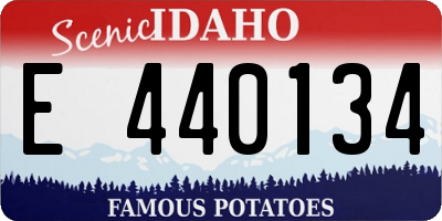 ID license plate E440134