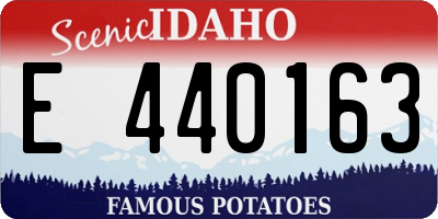 ID license plate E440163