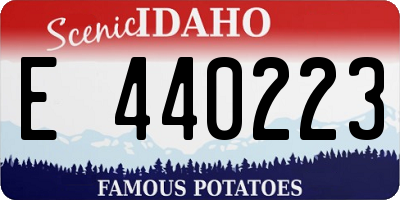 ID license plate E440223