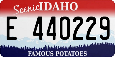 ID license plate E440229