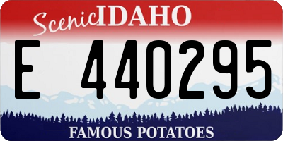 ID license plate E440295