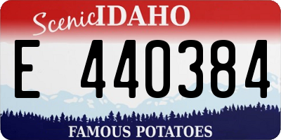 ID license plate E440384