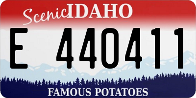ID license plate E440411