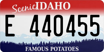 ID license plate E440455