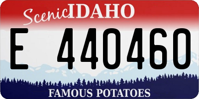 ID license plate E440460