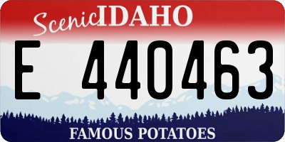 ID license plate E440463