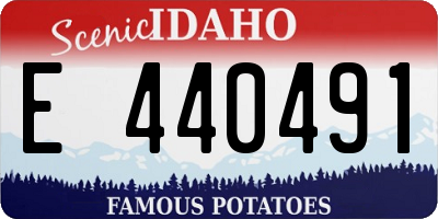 ID license plate E440491