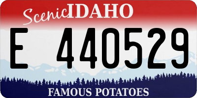 ID license plate E440529