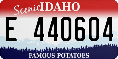 ID license plate E440604