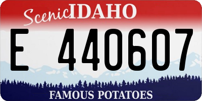 ID license plate E440607