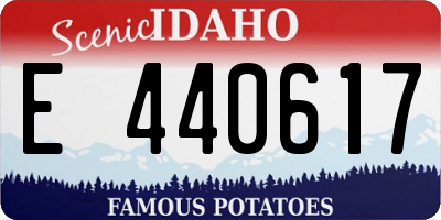 ID license plate E440617