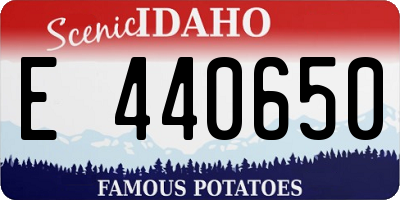 ID license plate E440650