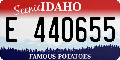 ID license plate E440655