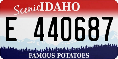 ID license plate E440687