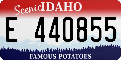 ID license plate E440855