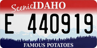 ID license plate E440919