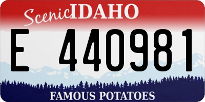ID license plate E440981