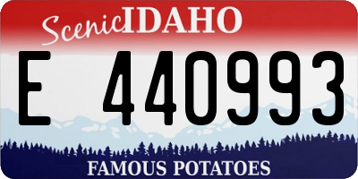 ID license plate E440993