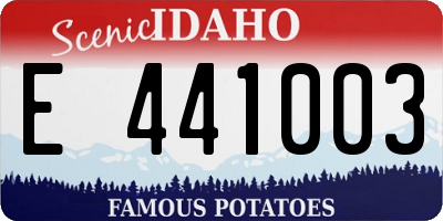 ID license plate E441003