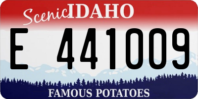 ID license plate E441009