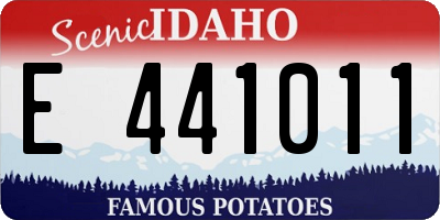 ID license plate E441011