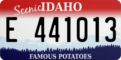 ID license plate E441013