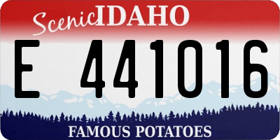 ID license plate E441016