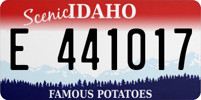 ID license plate E441017