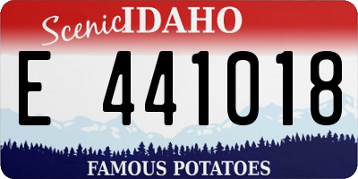 ID license plate E441018