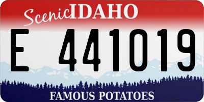 ID license plate E441019