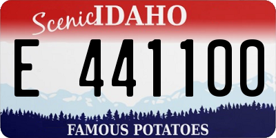 ID license plate E441100
