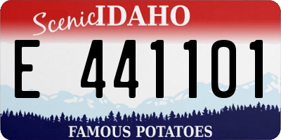 ID license plate E441101