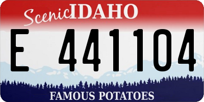 ID license plate E441104