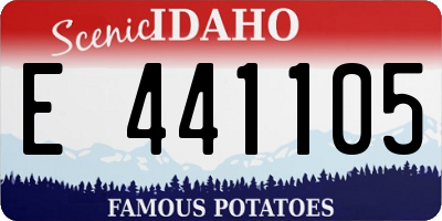 ID license plate E441105