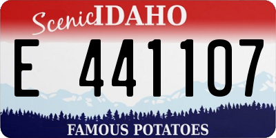 ID license plate E441107