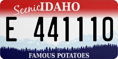 ID license plate E441110