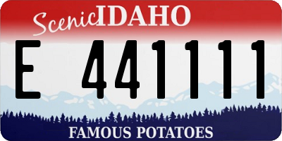 ID license plate E441111