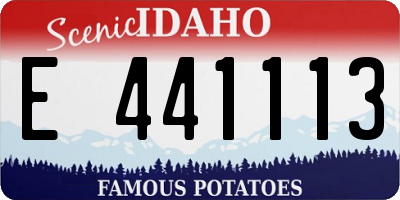 ID license plate E441113