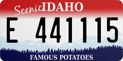 ID license plate E441115