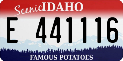 ID license plate E441116