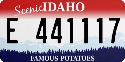 ID license plate E441117