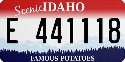 ID license plate E441118
