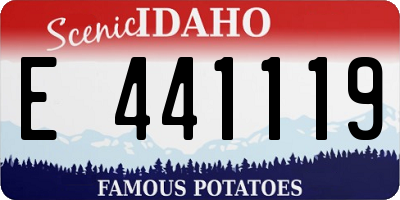 ID license plate E441119