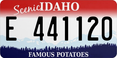 ID license plate E441120