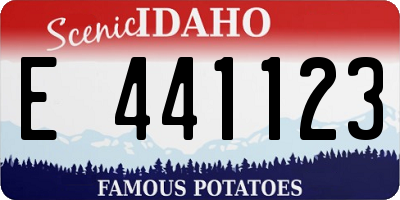 ID license plate E441123