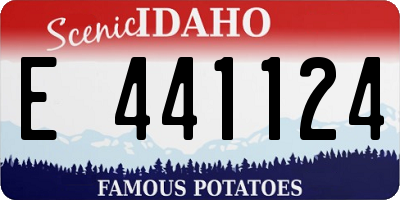ID license plate E441124