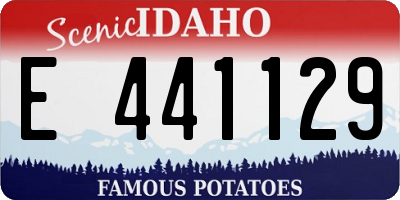 ID license plate E441129