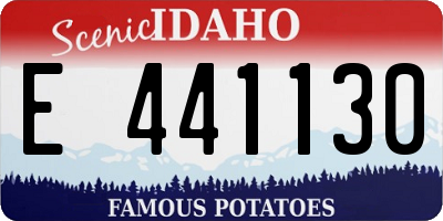 ID license plate E441130